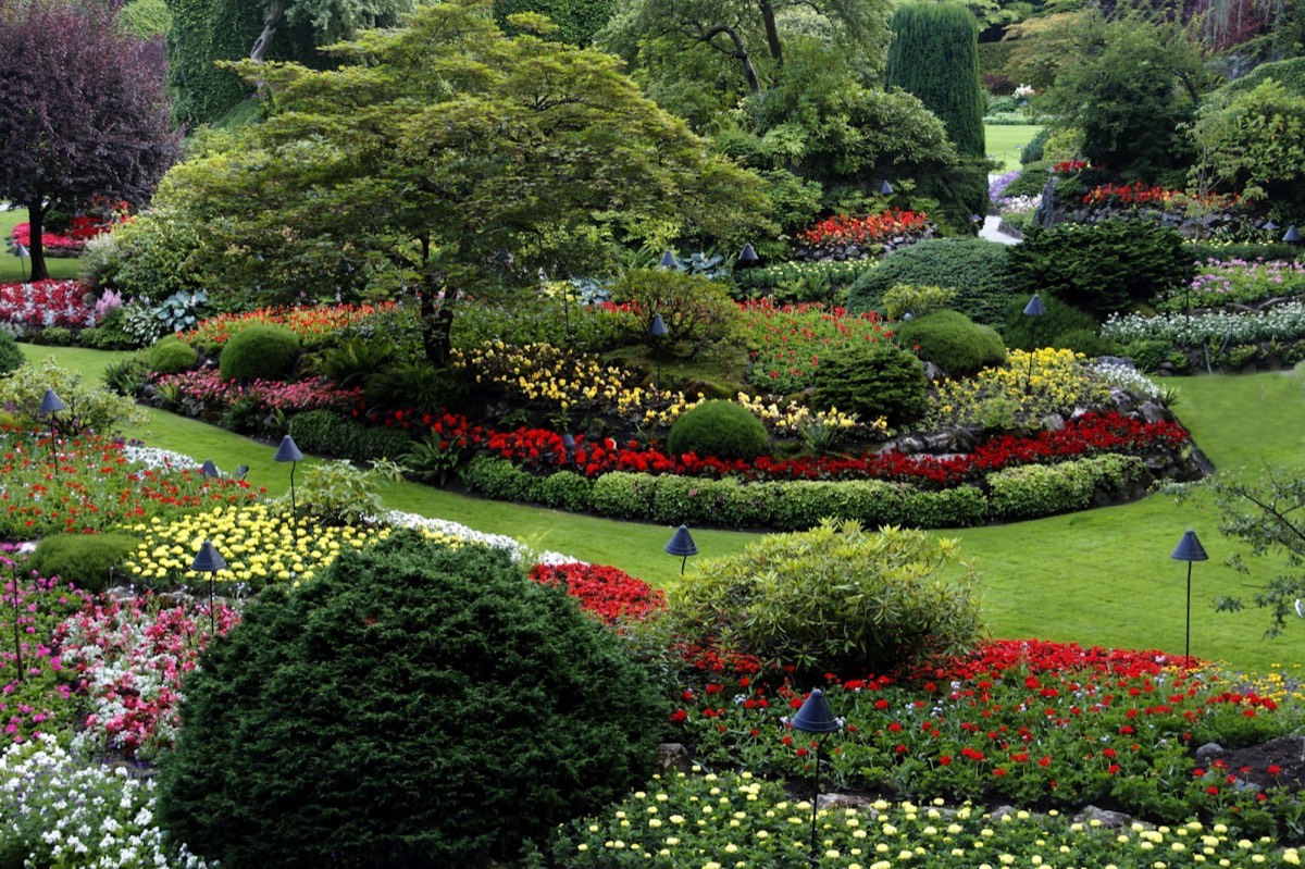 A finished garden